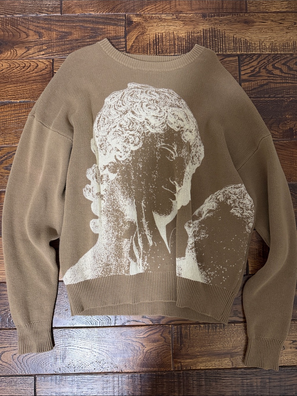 PacSun Brown Crewneck Sweater with Cream Statue Motif